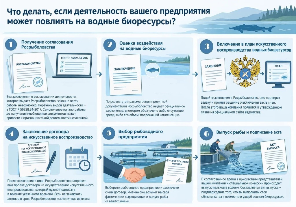 Схема возмещения вреда водным биоресурсам: шесть шагов от согласования Росрыболовства до акта выпуска